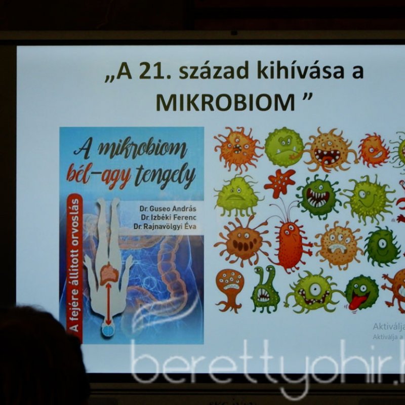 fenntartható egészség 29